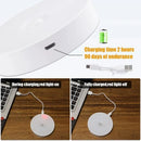 LumiSense™ Night Motion Pro