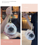“PurrBag” 🐾
