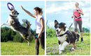 PawControl™ Pro – Smart Remote Training Collar