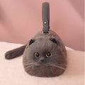 “PurrBag” 🐾