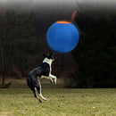 InstintoMax™ Dog Play Toy
